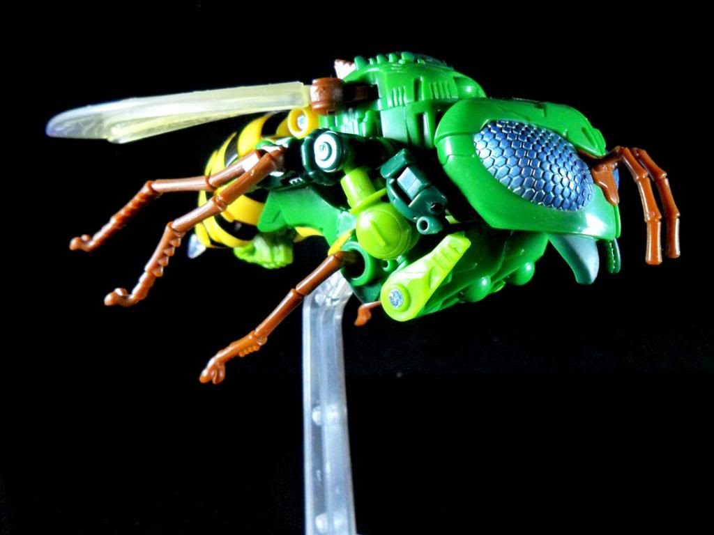 t30 waspinator